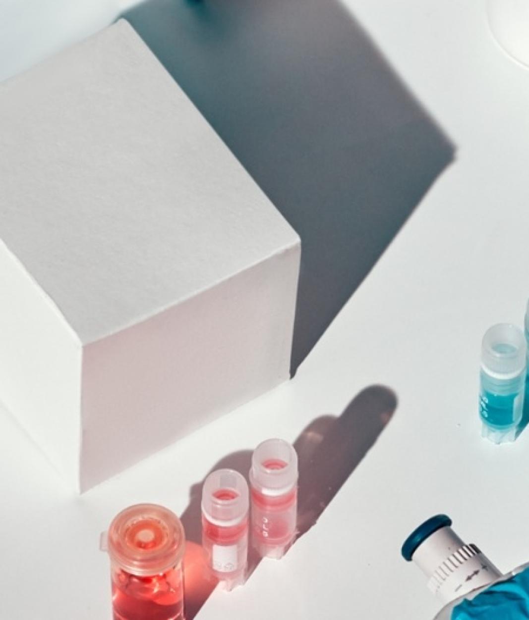 In_Vitro_Diagnostics_1920x597 Saint-Gobain, markets, in vitro diagnostics
