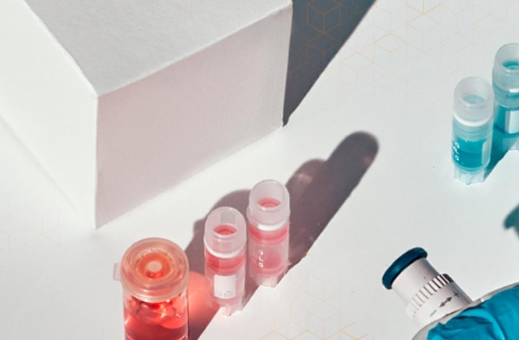 Saint-Gobain Medical Markt für In-vitro-Diagnostik