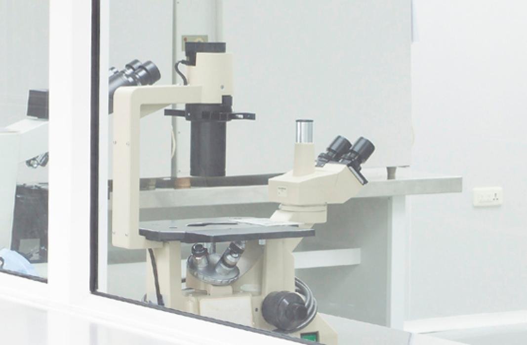 Saint-Gobain Medical Quality Support